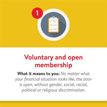 7 Co-op Principals- 1 Principal 1: Voluntary and open membership