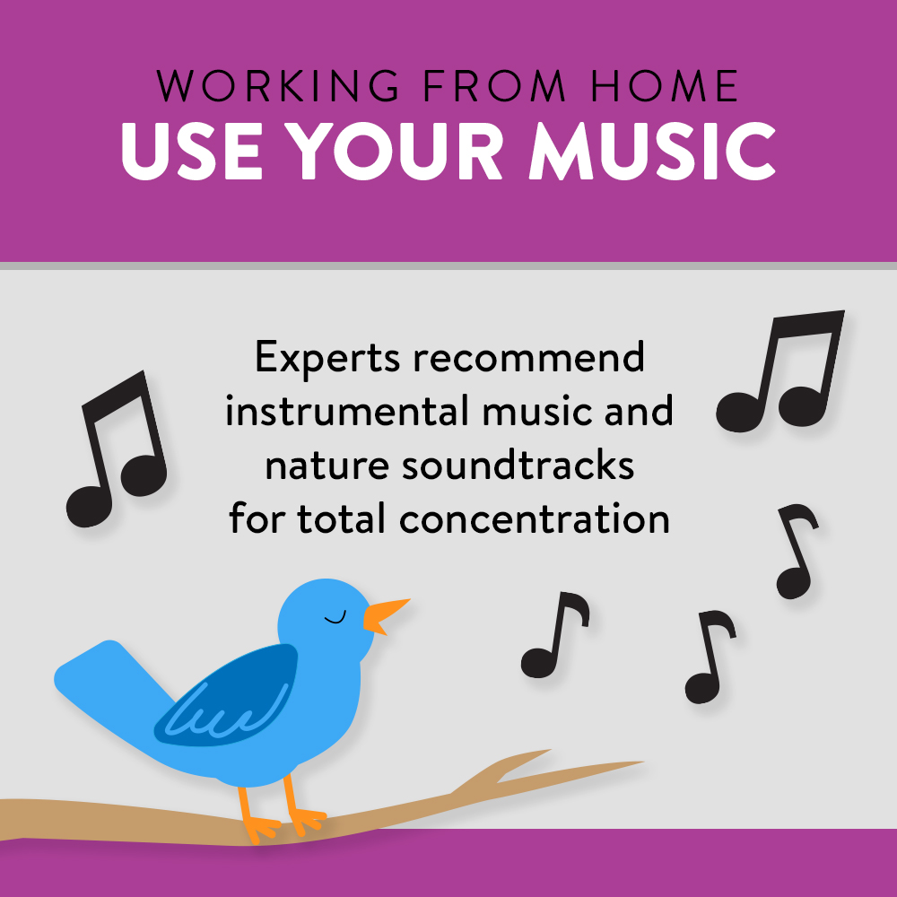 Experts recommend instrumental music and nature soundtracks for total concentration.