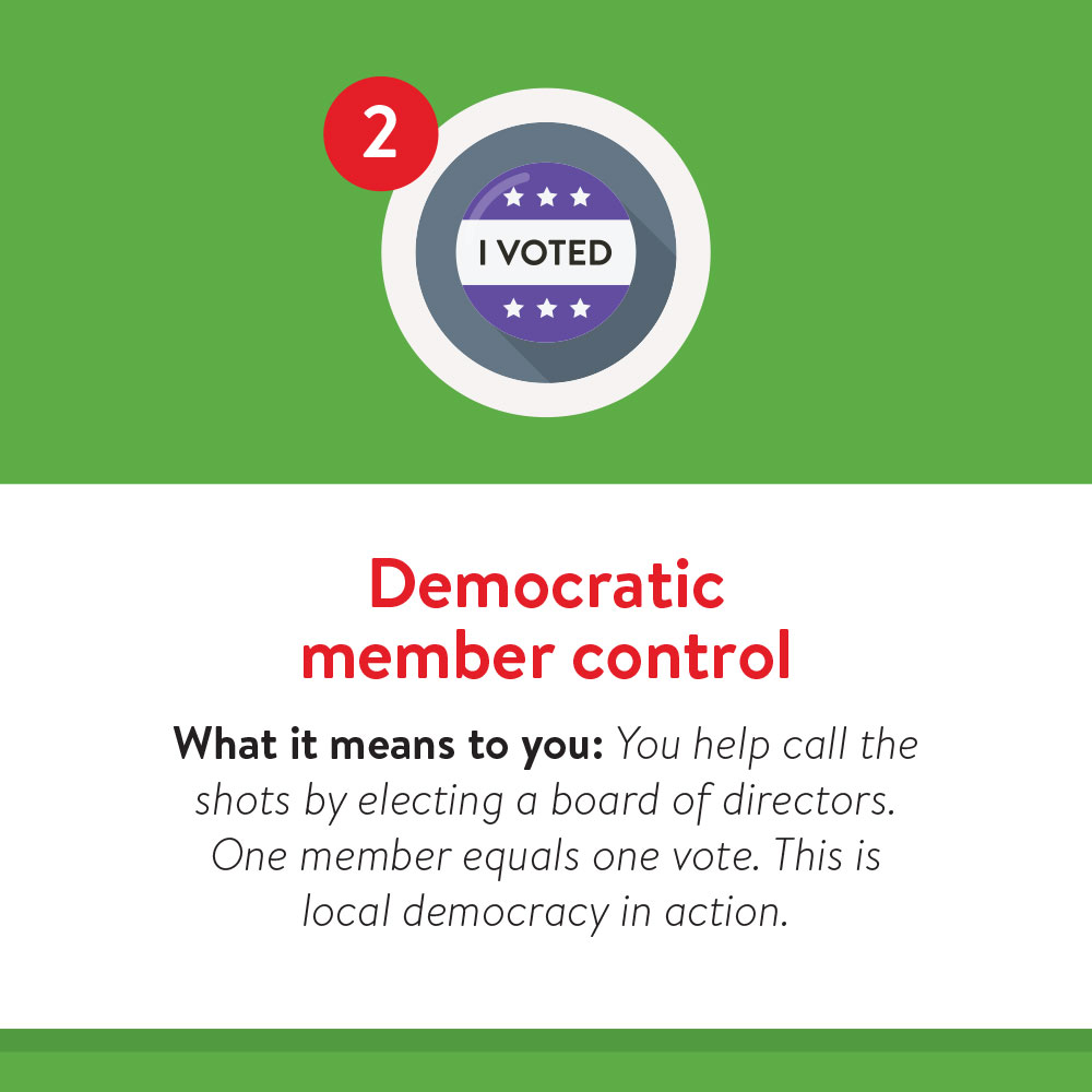 7 Co-op Principals- 2 Principal 2: Democratic member control. What it means to you: You help call the shots by electing a board of directors. One member equals one vote. This is local democracy in action.