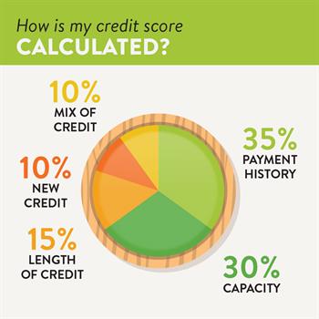 Breakdown of a Credit Score 3