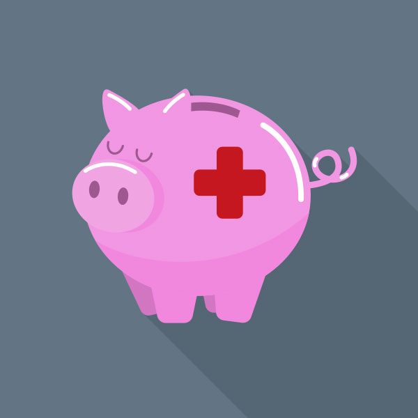 Emergency Funds Icon