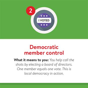 Principal 2: Democratic member control