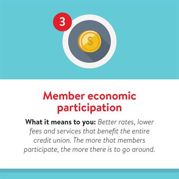 Principal 3: Member economic participation