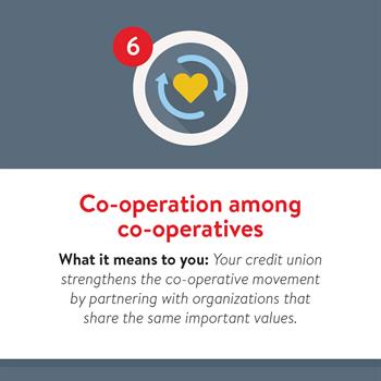 Principal 6: Co-operation among co-operatives